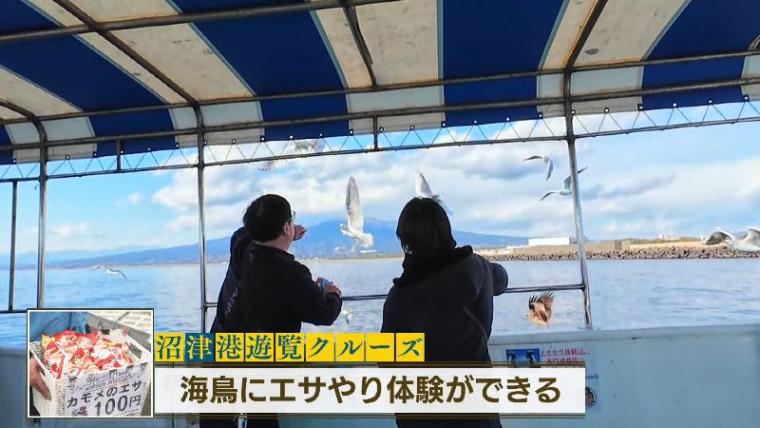 【沼津港遊覧クルーズ】カモメと戯れる30分の船旅 富士山絶景と「さば焼きおにぎり」