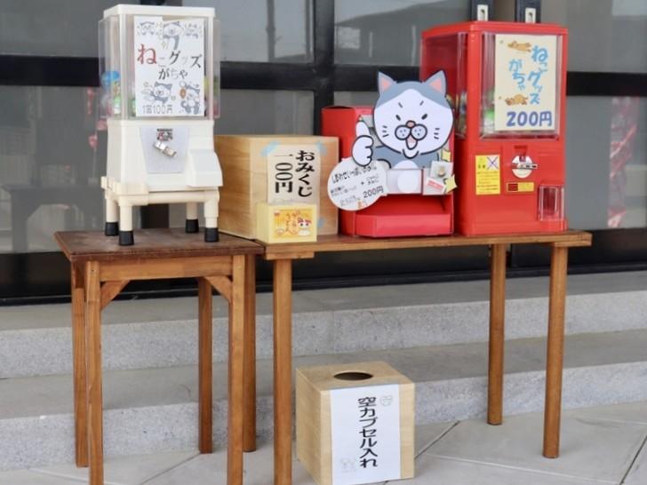 【静岡県島田市・康泰寺】幸せ運ぶ“ネコ副住職” 心も体も癒やすお地蔵様にたくさん会える寺