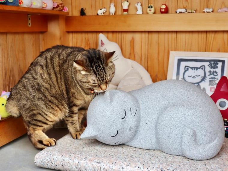 【静岡県島田市・康泰寺】幸せ運ぶ“ネコ副住職” 心も体も癒やすお地蔵様にたくさん会える寺