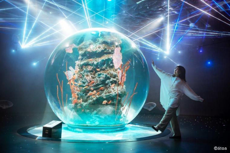 AQUARIUM×ART átoa（アトア）