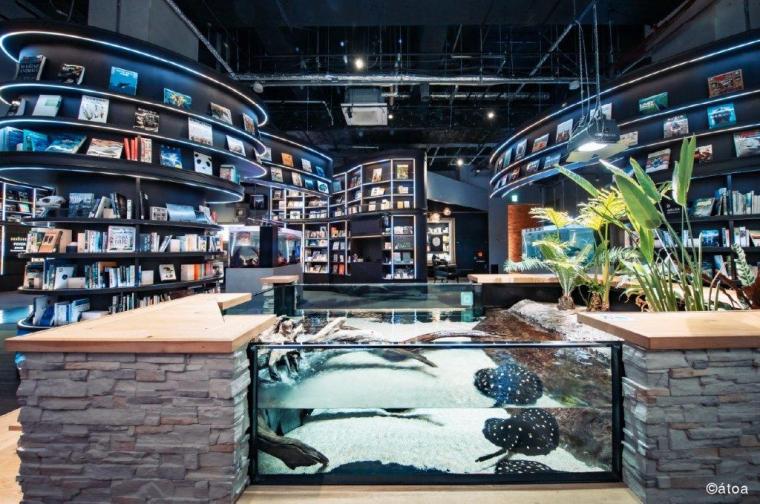 AQUARIUM×ART átoa（アトア）