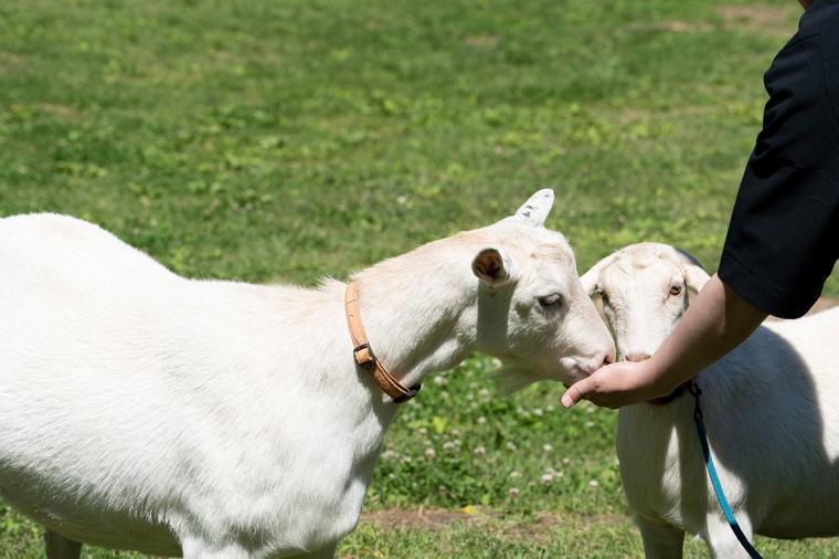 八ヶ岳 ホテル風か