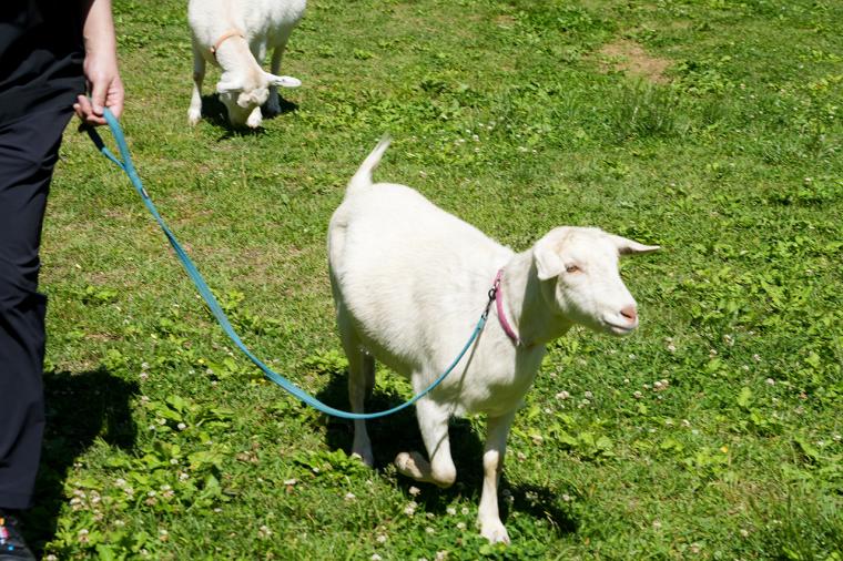 八ヶ岳 ホテル風か