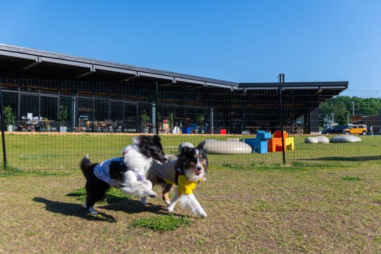 キャンパーズ＆アングラーズ北広島
