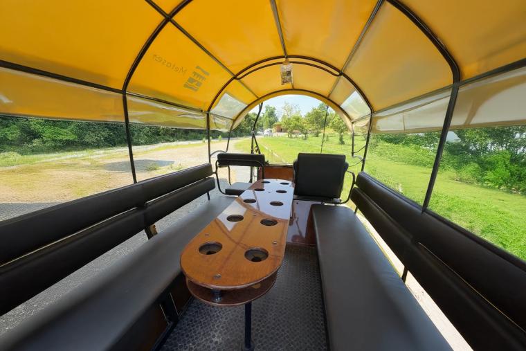 メタセコイアと馬の森