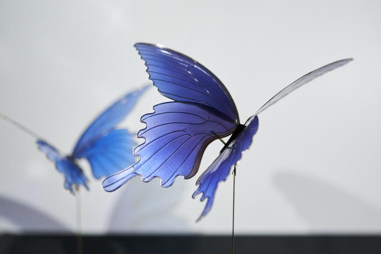 「シークレットミュージアム　Yanai Yamaguchi」ディップアート