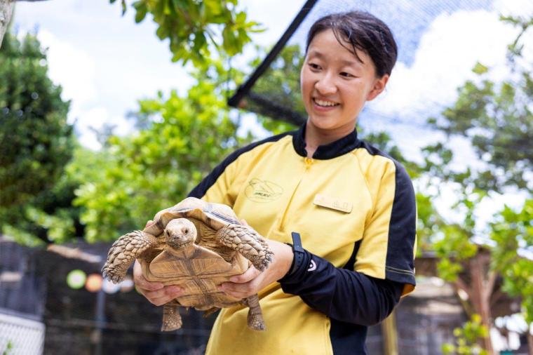 イルカと過ごす休日「ルネッサンス リゾート オキナワ」でかなえる欲張りステイ
