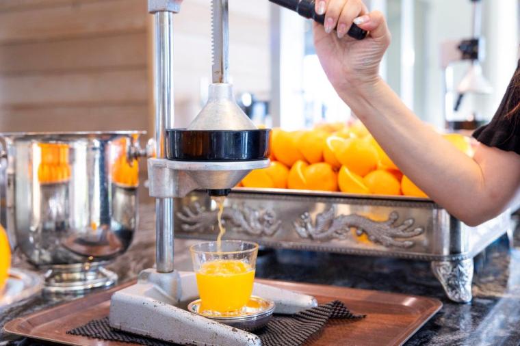 イルカと過ごす休日「ルネッサンス リゾート オキナワ」でかなえる欲張りステイ