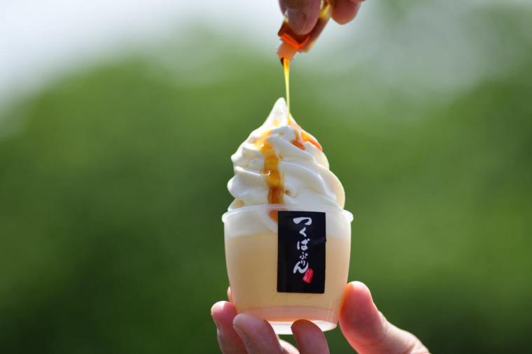 【茨城】初心者にもおすすめ！つくば霞ヶ浦りんりんロード サイクリングモデルコース