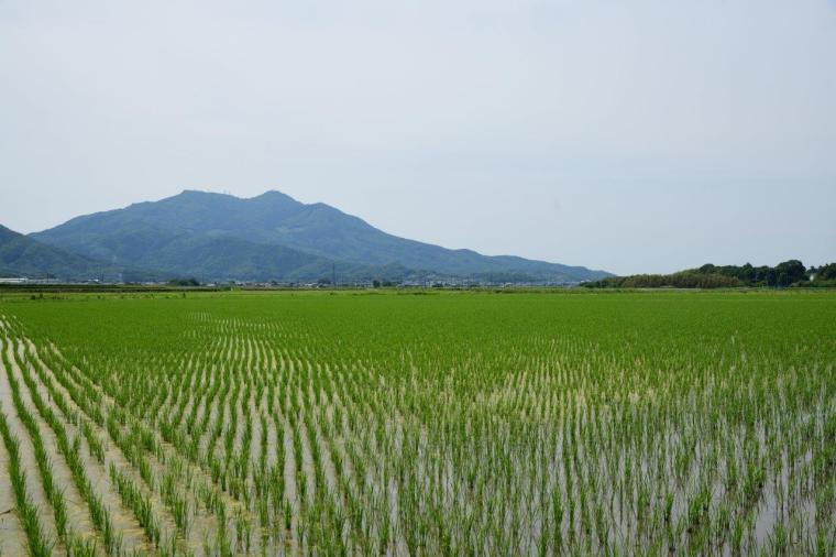 【茨城】初心者にもおすすめ！つくば霞ヶ浦りんりんロード サイクリングモデルコース