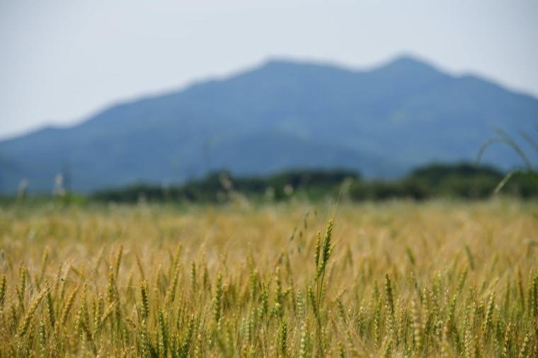 【茨城】初心者にもおすすめ！つくば霞ヶ浦りんりんロード サイクリングモデルコース