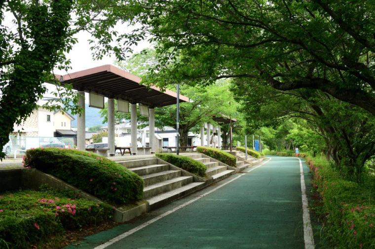 【茨城】初心者にもおすすめ！つくば霞ヶ浦りんりんロード サイクリングモデルコース