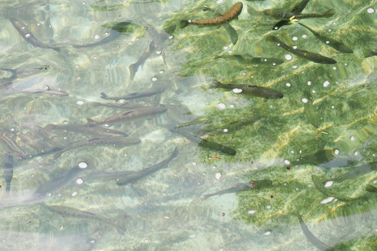 蓼科グランドホテル滝の湯