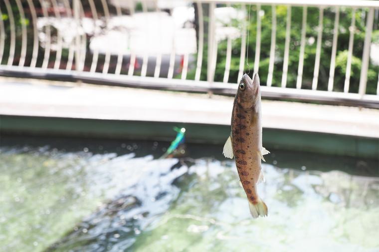 蓼科グランドホテル滝の湯