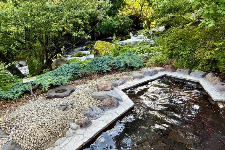 蓼科グランドホテル滝の湯