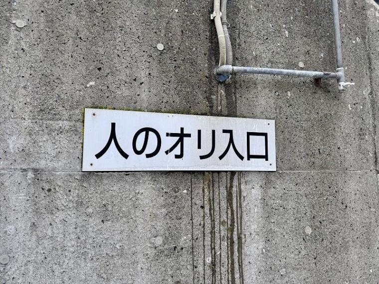 「中に人が入ってる…？」1000 円で芸達者な熊たちに出会える寄り道スポット／壮瞥町・昭和新山熊牧場
