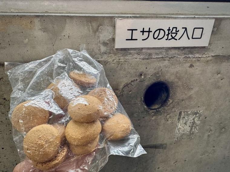 「中に人が入ってる…？」1000 円で芸達者な熊たちに出会える寄り道スポット／壮瞥町・昭和新山熊牧場