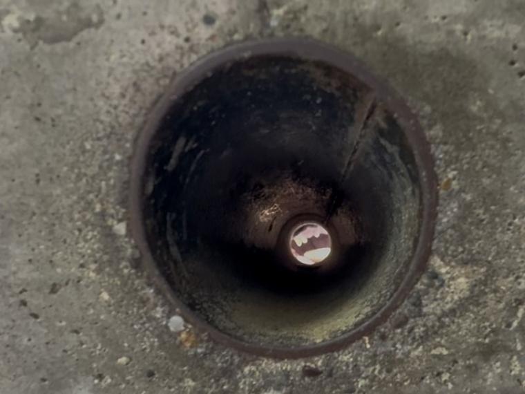 「中に人が入ってる…？」1000 円で芸達者な熊たちに出会える寄り道スポット／壮瞥町・昭和新山熊牧場