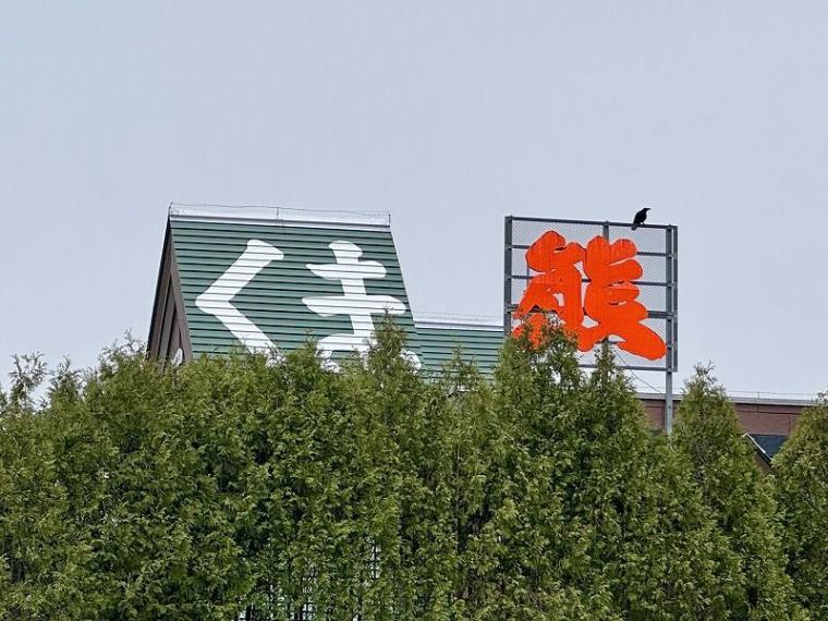 「中に人が入ってる…？」1000 円で芸達者な熊たちに出会える寄り道スポット／壮瞥町・昭和新山熊牧場