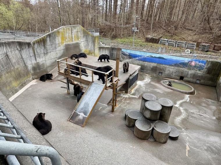 「中に人が入ってる…？」1000 円で芸達者な熊たちに出会える寄り道スポット／壮瞥町・昭和新山熊牧場