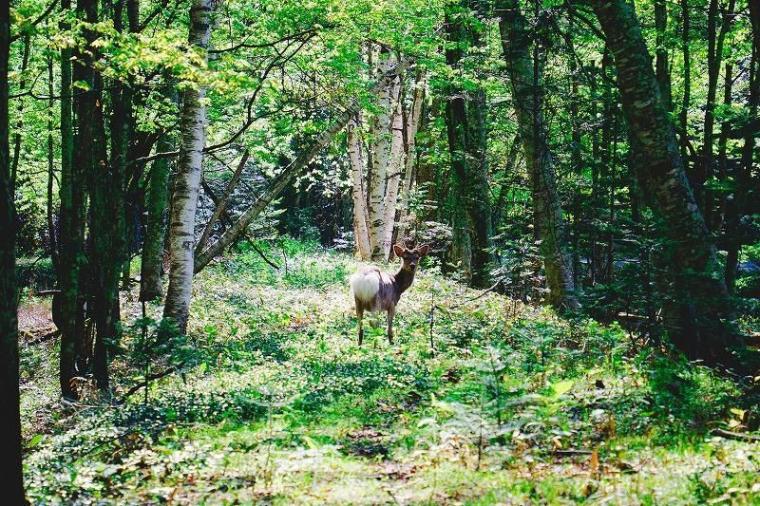 「こんなにもきれいなんだ！」北海道・十勝に移住して初めて知った美しい風景／地元カメラマンの絶景写真 10 枚