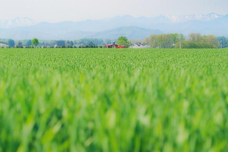 「こんなにもきれいなんだ！」北海道・十勝に移住して初めて知った美しい風景／地元カメラマンの絶景写真 10 枚