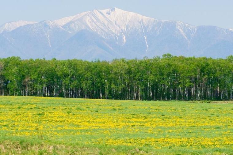 「こんなにもきれいなんだ！」北海道・十勝に移住して初めて知った美しい風景／地元カメラマンの絶景写真 10 枚