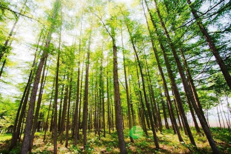 「こんなにもきれいなんだ！」北海道・十勝に移住して初めて知った美しい風景／地元カメラマンの絶景写真 10 枚