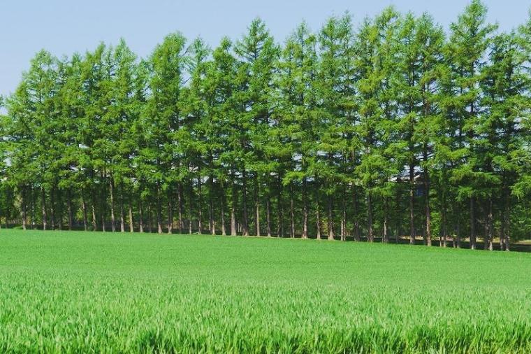 「こんなにもきれいなんだ！」北海道・十勝に移住して初めて知った美しい風景／地元カメラマンの絶景写真 10 枚