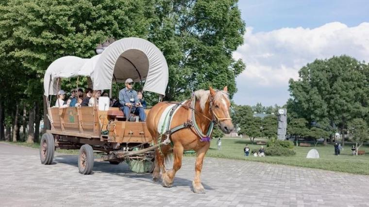 駐車場も入園料も無料で体験メニューは 30 種超！“幸せそう”な動物たちと触れ合える札幌のスポットを獣医師ママライターが解説｜サッポロさとらんど