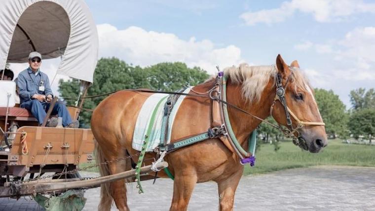 駐車場も入園料も無料で体験メニューは 30 種超！“幸せそう”な動物たちと触れ合える札幌のスポットを獣医師ママライターが解説｜サッポロさとらんど