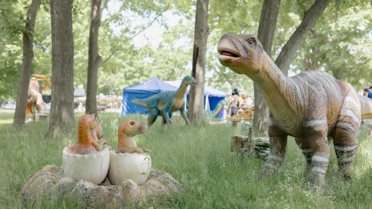 駐車場も入園料も無料で体験メニューは 30 種超！“幸せそう”な動物たちと触れ合える札幌のスポットを獣医師ママライターが解説｜サッポロさとらんど