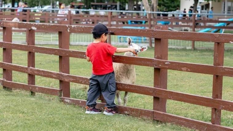 駐車場も入園料も無料で体験メニューは 30 種超！“幸せそう”な動物たちと触れ合える札幌のスポットを獣医師ママライターが解説｜サッポロさとらんど