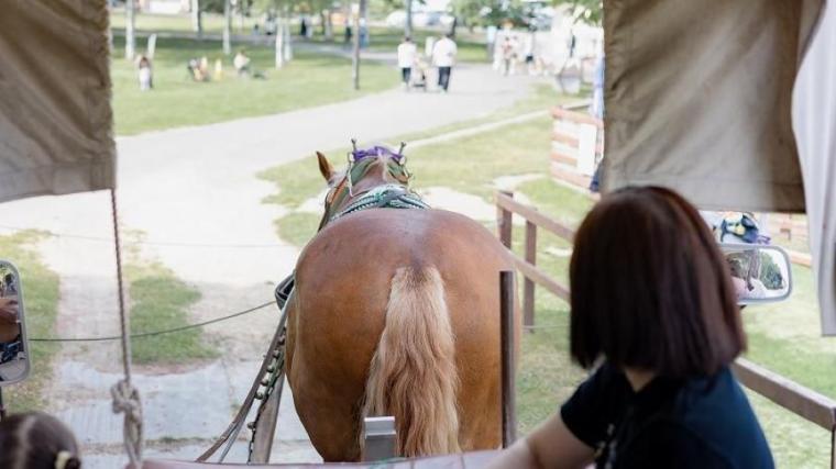 駐車場も入園料も無料で体験メニューは 30 種超！“幸せそう”な動物たちと触れ合える札幌のスポットを獣医師ママライターが解説｜サッポロさとらんど
