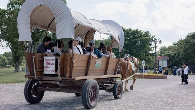駐車場も入園料も無料で体験メニューは 30 種超！“幸せそう”な動物たちと触れ合える札幌のスポットを獣医師ママライターが解説｜サッポロさとらんど