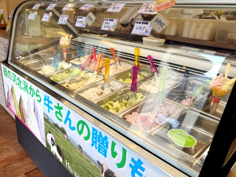 「人も牛も幸せに暮らせる牧場」直営の『牧場アイス工房ラグーン』で、絶品搾 りたて生乳アイスを食べてきました。