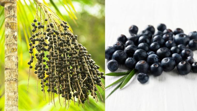 温浴施設にある人気の食事処＆カフェ「季悦 やいろ・やいろカフェ」