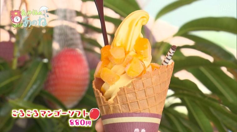 雨の日も満喫！南国気分のお出かけスポット（宮崎県 日南市）