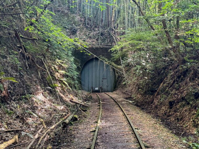 日本一美しい廃線と称された「旧国鉄倉吉線」。竹林に残る線路の幻想的な景色を撮ってみた