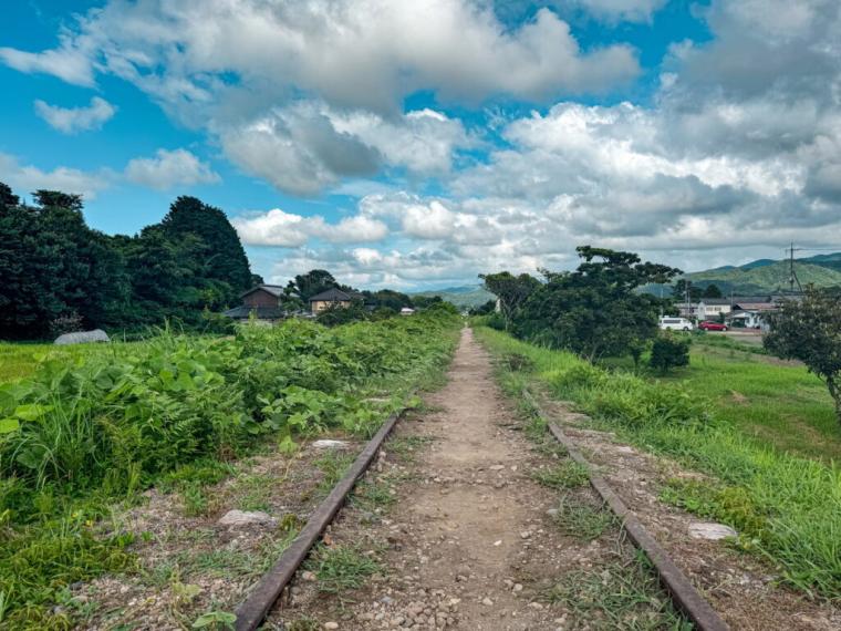 日本一美しい廃線と称された「旧国鉄倉吉線」。竹林に残る線路の幻想的な景色を撮ってみた