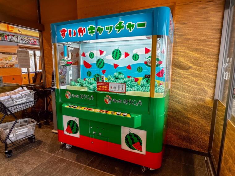 鳥取県北栄町に新オープン！グルメも土産も豊富な道の駅！てんこ盛り海鮮丼や伸び～るカレーパンも