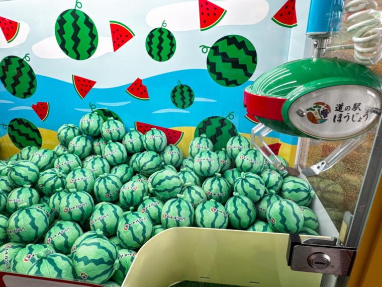 鳥取県北栄町に新オープン！グルメも土産も豊富な道の駅！てんこ盛り海鮮丼や伸び～るカレーパンも