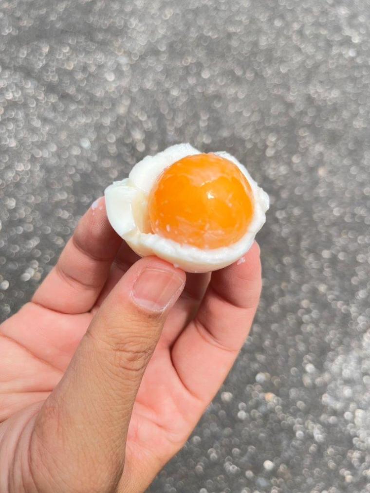 「大地の息づかいを感じる」九重町小松地獄の湯けむりと熱泥