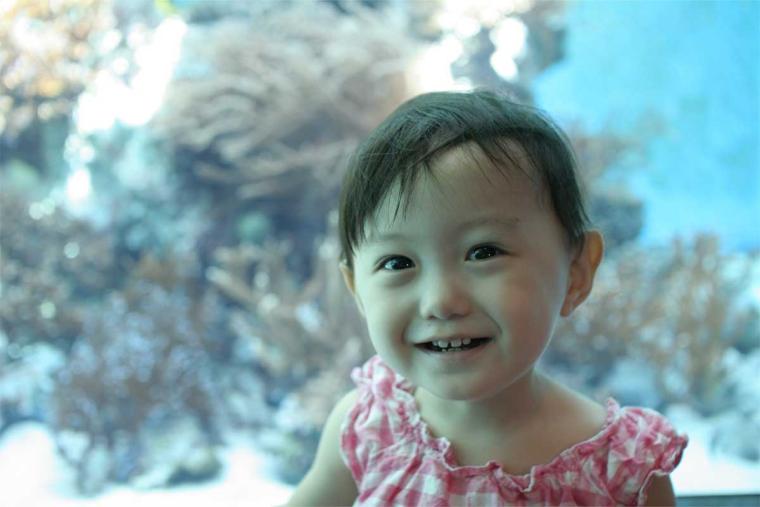 7 月・8 月の沖縄の楽しみ方を一挙ご紹介！夏の風物詩＆涼しげスポット満載！