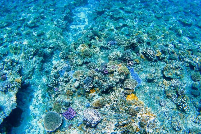 7 月・8 月の沖縄の楽しみ方を一挙ご紹介！夏の風物詩＆涼しげスポット満載！