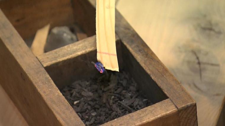 【静岡市清水区・あかりの博物館】1000 点超“あかり器具”の宝庫 亡き夫のコレクションを守る