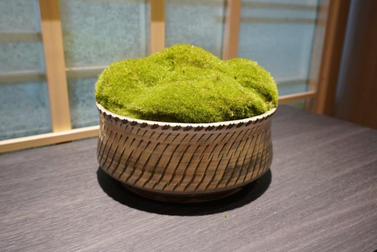 泊まって、遊んで、癒やされる。別府温泉「杉乃井ホテル」星館で叶える、贅沢な温泉ステイ