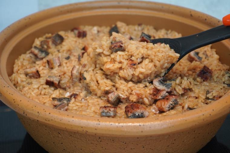 泊まって、遊んで、癒やされる。別府温泉「杉乃井ホテル」星館で叶える、贅沢な温泉ステイ