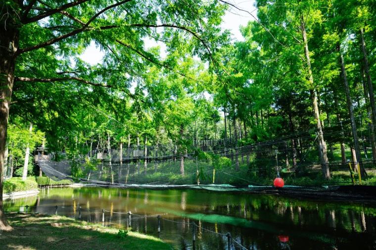 ボウケンノモリ