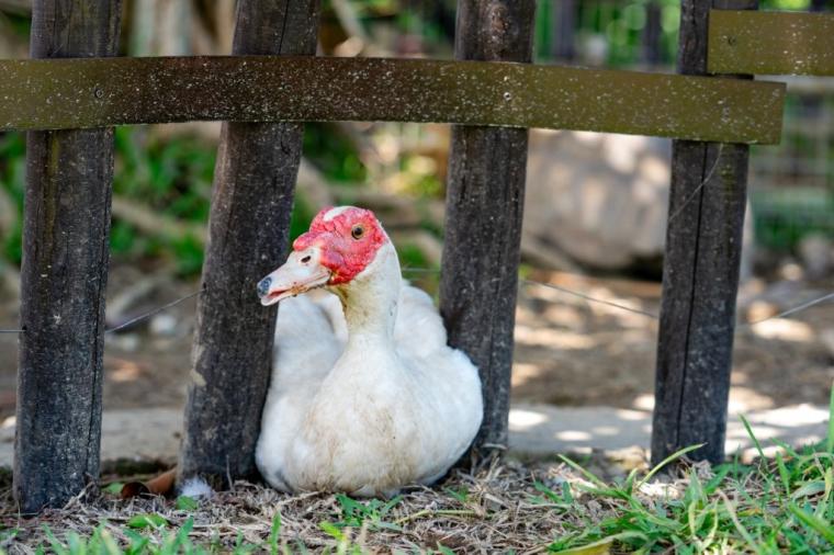 沖縄・小浜島「はいむるぶし」
